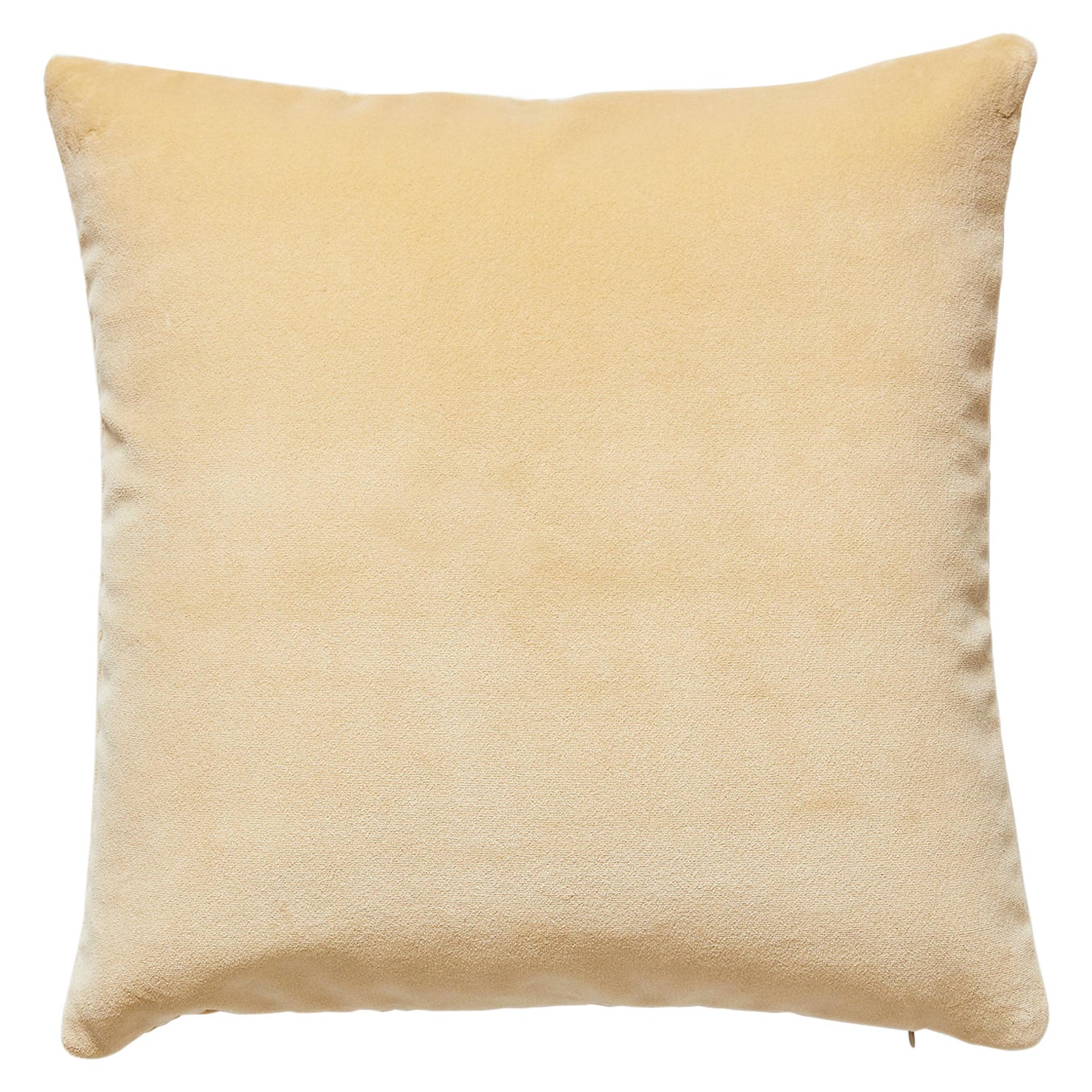 Torino Velvet Pillow For Sale