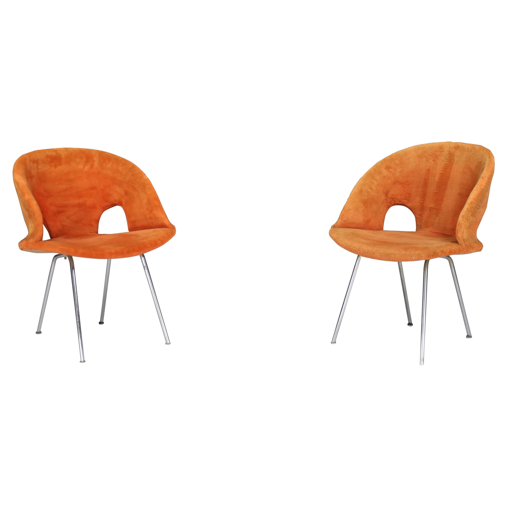 Mid Century Modern Model 350 Chairs By Arno Votteler For Walter Knoll  Germany 