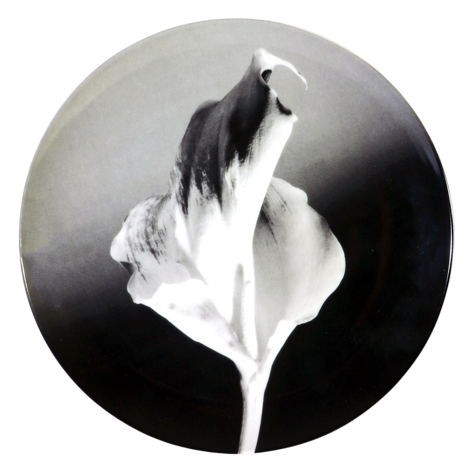 Plato de porcelana botánica Robert Mapplethorpe, Flor, 1986