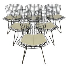 Harry Bertoia ensemble de six chaises de salle à manger en fil métallique chromé avec coussins pour Knoll