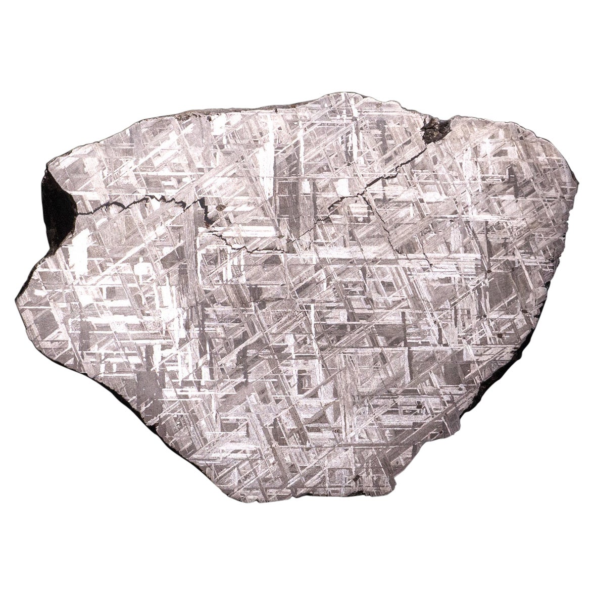 Un véritable dalle de météorite Muonionalusta (7,5 lbs) en vente