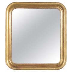 19th-Century French Frame Wall Mirror: Wood, Gesso & Water Gilt Finish