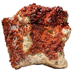 Amas de cristaux de vanadinite sur matrice de Mibladen, montagnes de l'Atlas, Khénifra Pr