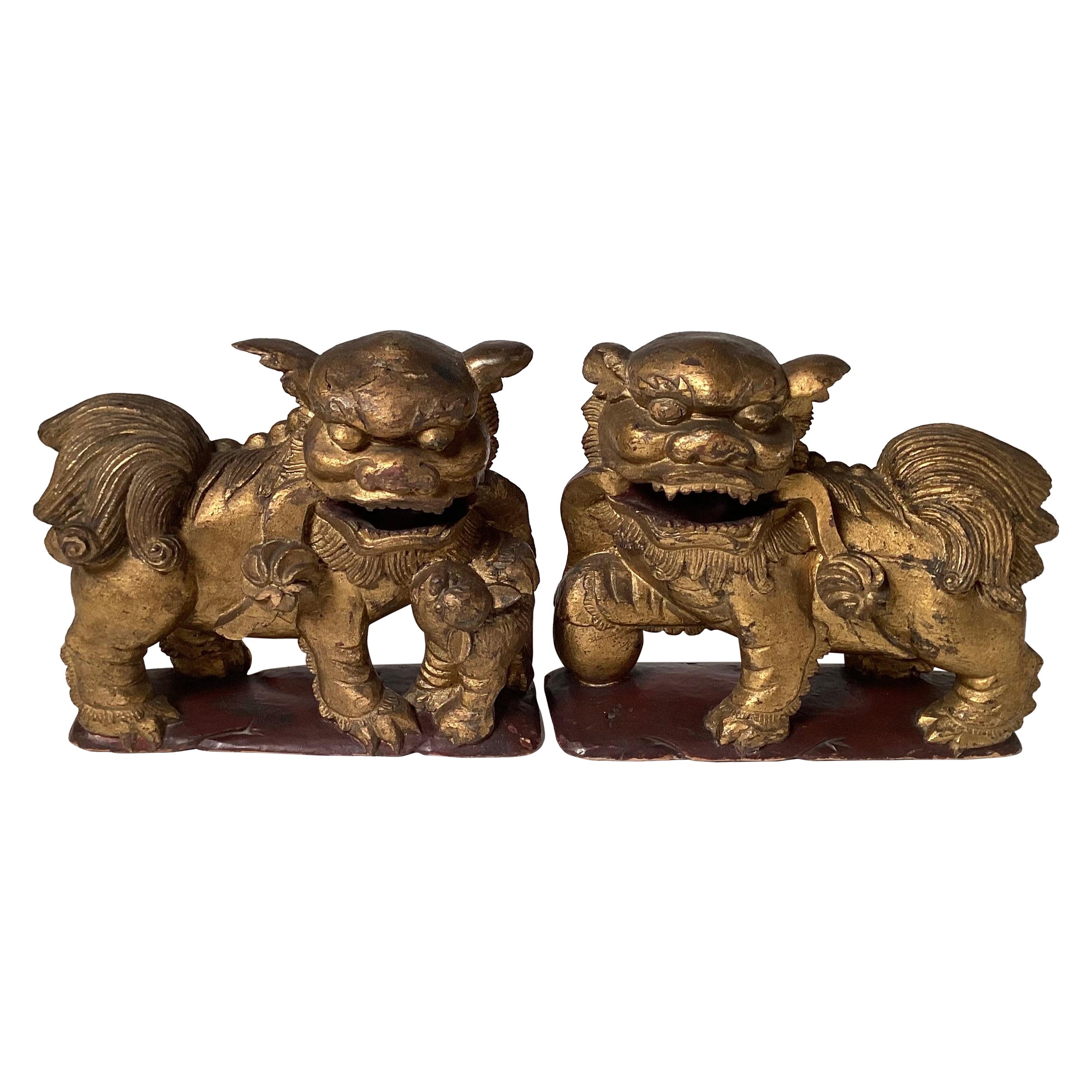 A Pair of Hand Carved Gilt Wood Chinese Export Foo Dogs  For Sale