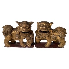 Antique A Pair of Hand Carved Gilt Wood Chinese Export Foo Dogs 