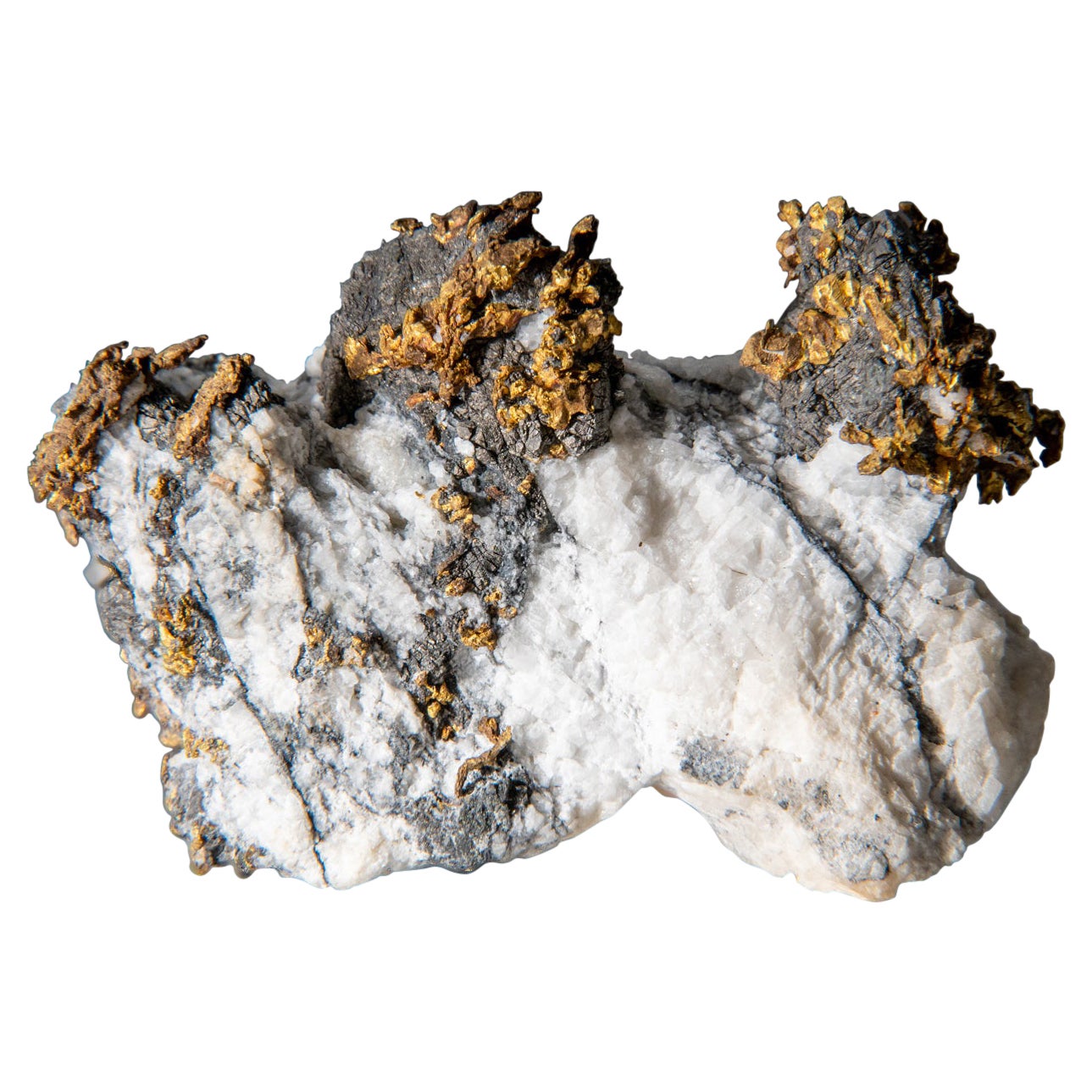 Native Gold with Arsenapyrite Diltz Mine, Mariposa County California