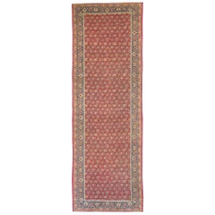Anfang des 20. Jahrhunderts handgefertigter indischer Lahore-Teppich, lang und schmal, in Übergröße