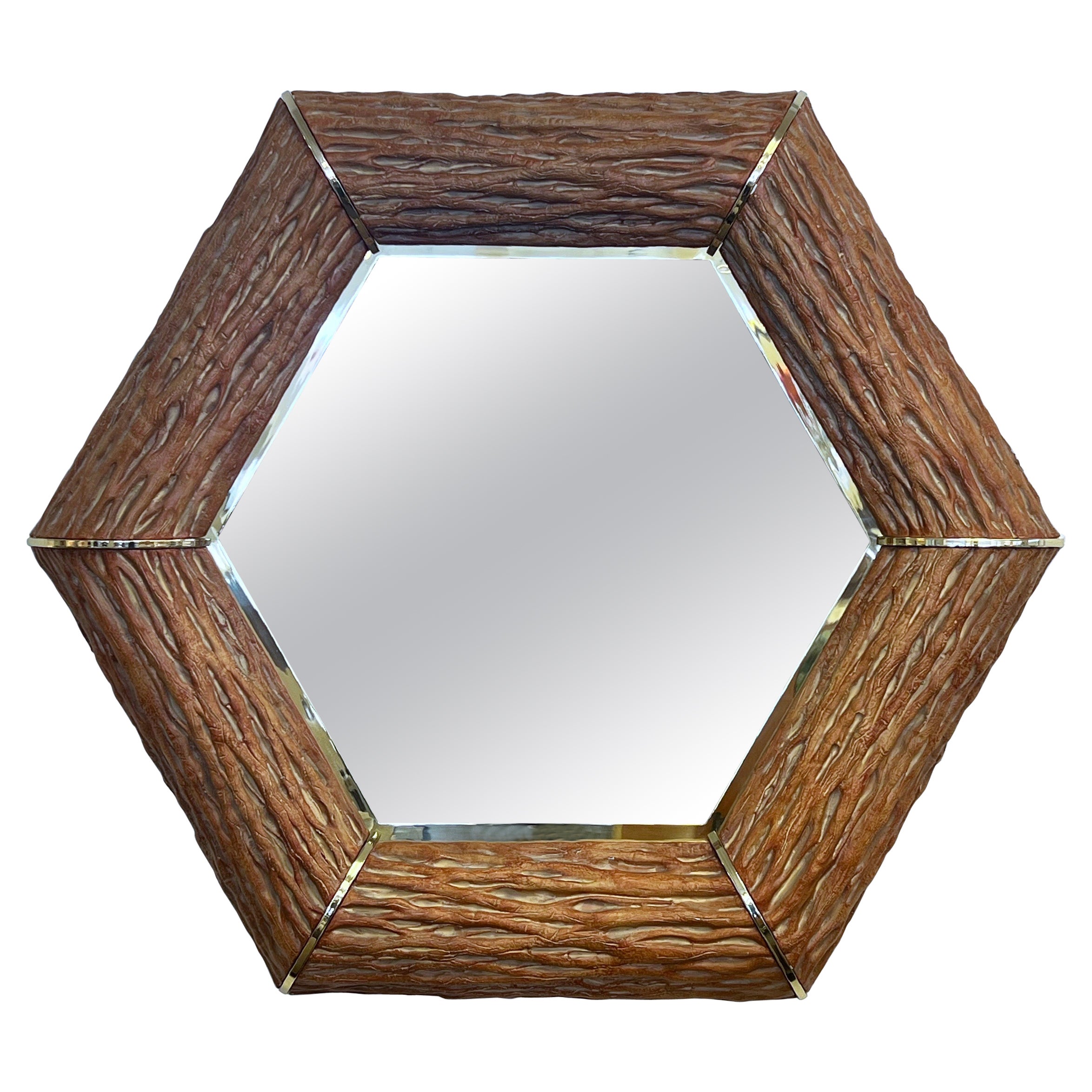 Faux Saguaro and Brass Hexagonal Shape Wall Mirror  For Sale