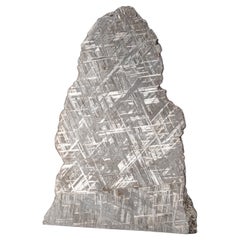 Grande tranche de météorite muonionalusta authentique (12 lbs)
