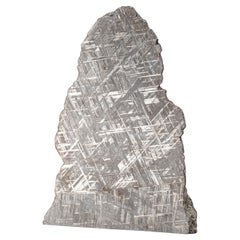 Großer echter Muonionalusta Meteorit-Slice (12 lbs)