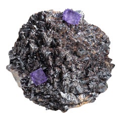 Lila Fluoritkristalle auf Sphalerit aus der Ulmenholzminenschmiede, Carthage, Smith County