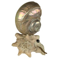 Deco Nautilus and Conch Shell Lamp