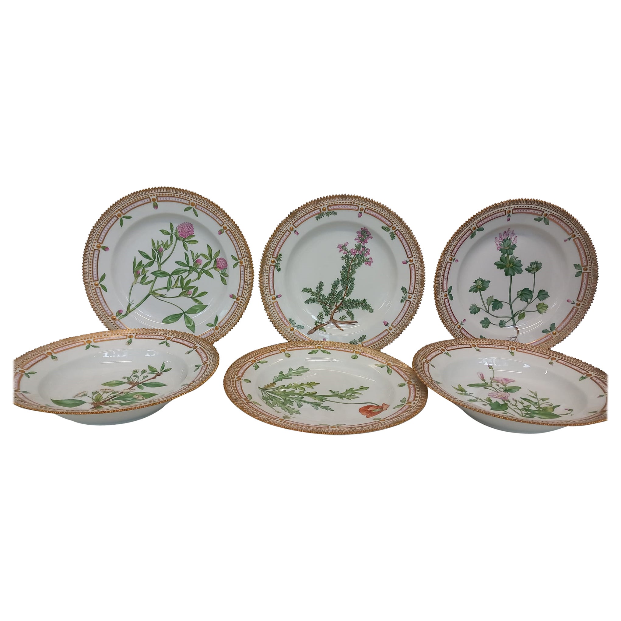 A wonderful set of six Flora Danica hand painted plates (4 dinner & 2 soup) For Sale