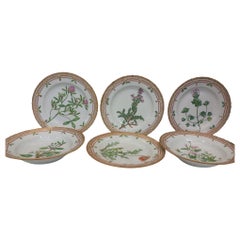 A wonderful set of six Flora Danica hand painted plates (4 dinner & 2 soup)