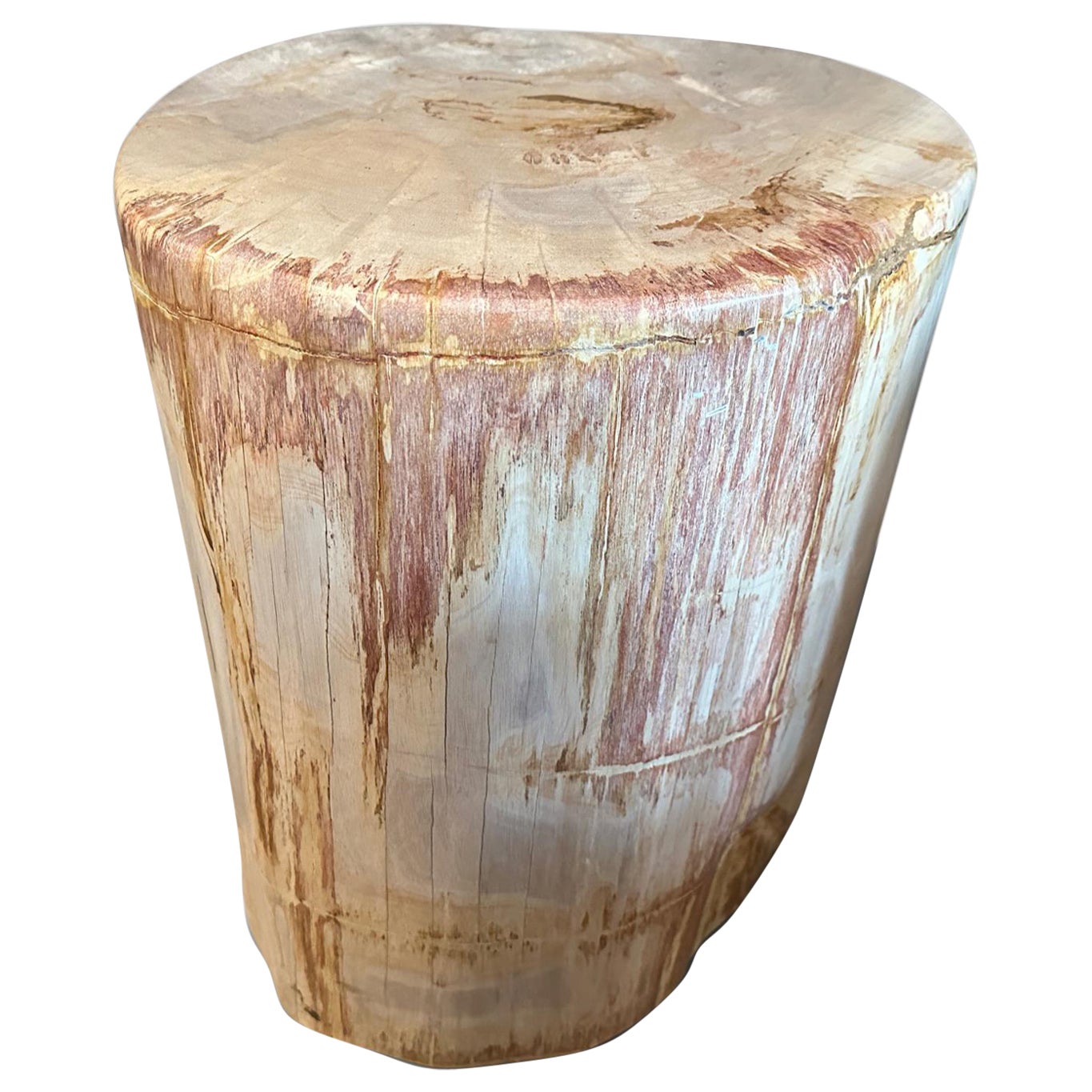 Andrianna Shamaris Coral and Beige Petrified Wood Side Table For Sale