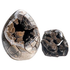 Poliertes Septarian Druzy Geode-Ei aus Madagaskar (30 lbs)