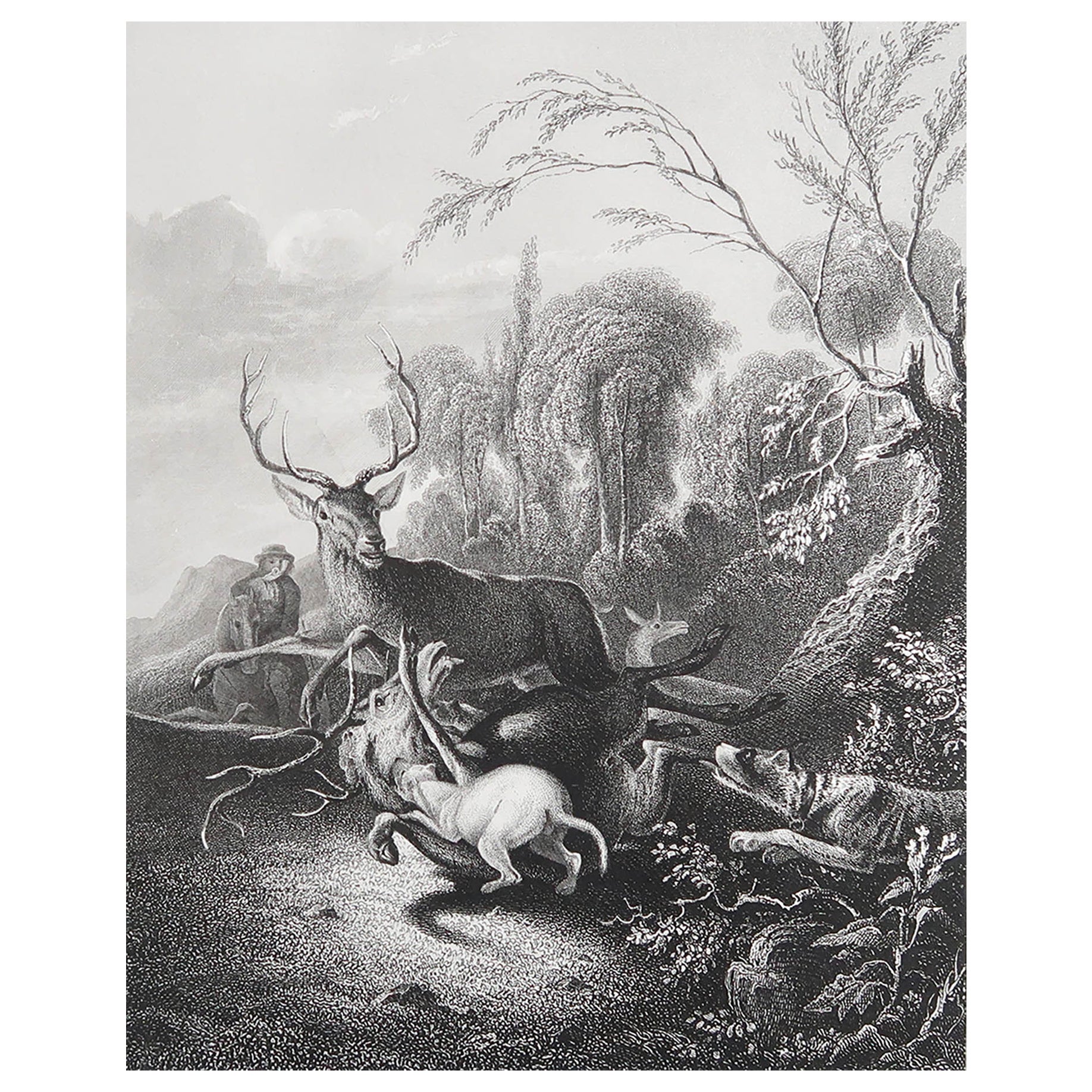 Impression originale et ancienne d'une chasse au cerf d'après Carl Ruthart. C.1850