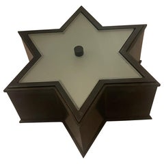 Mid-Century Modern Patinated Bronze Star Glass Flush Mount Light Ceiling Fixture