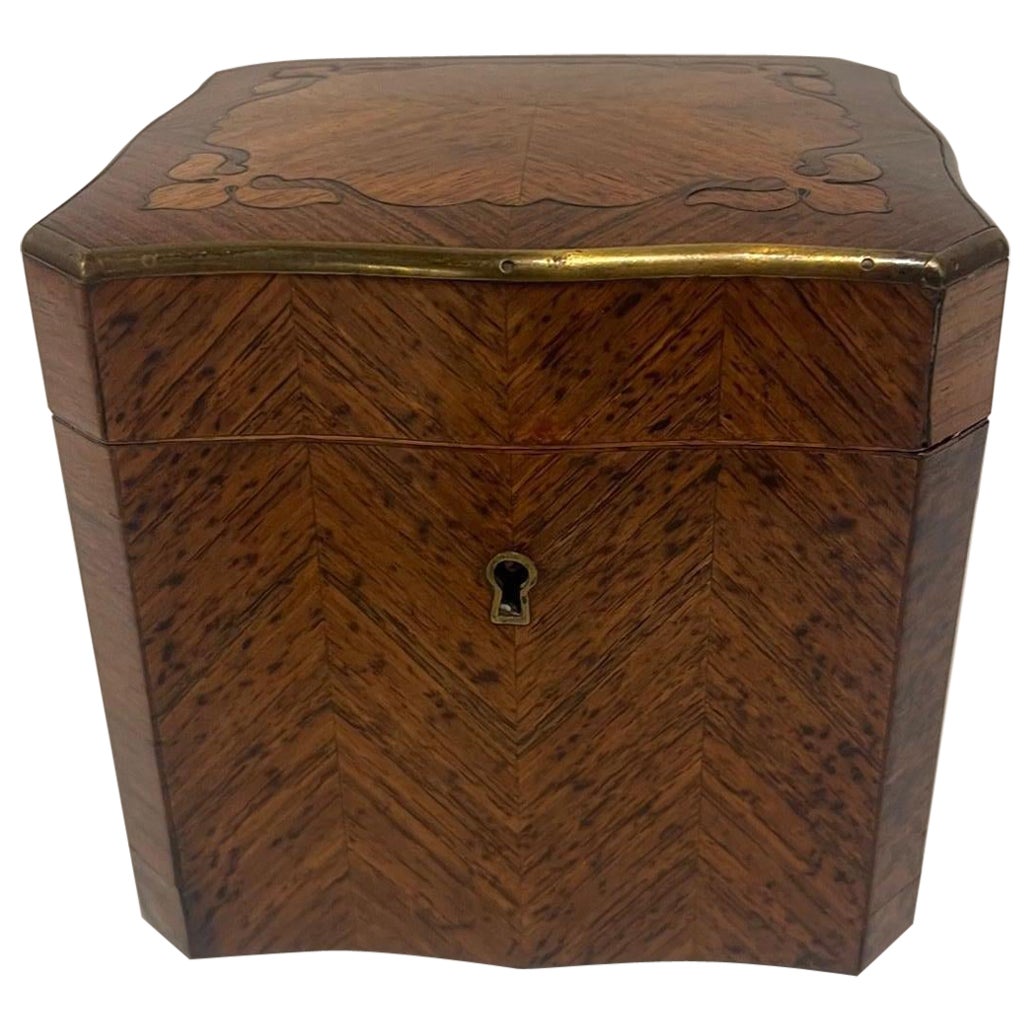 English Square Burl Tea Caddy Brass Stringing and Interior Lid, 19th Century For Sale