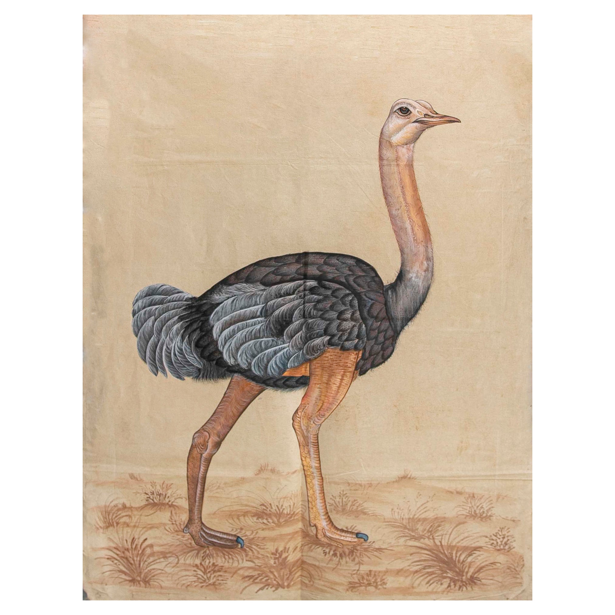 1970s Jaime Parlade Designer Hand Painting "Ostrich" For Sale