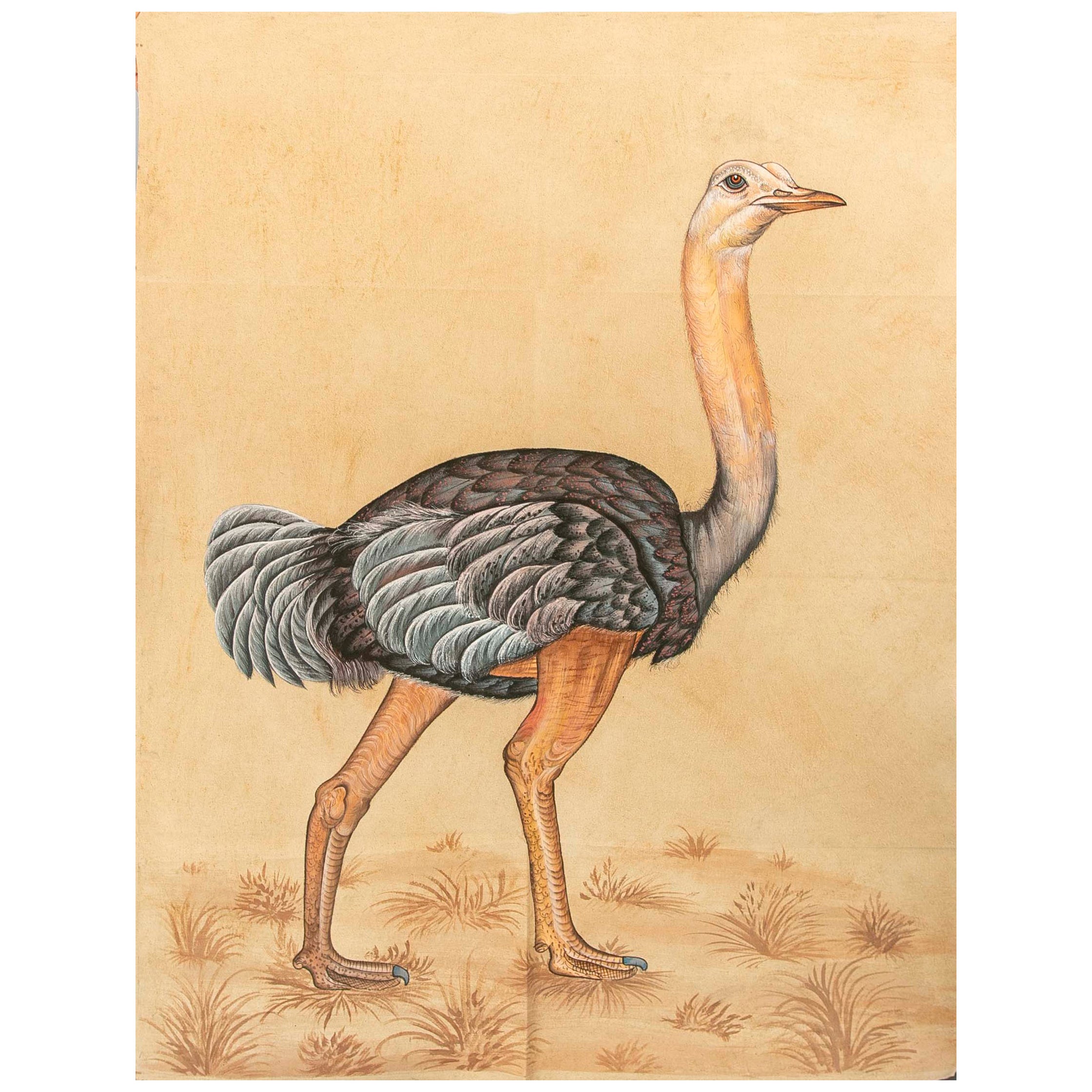1970s Jaime Parlade Designer Hand Painting "Ostrich" For Sale