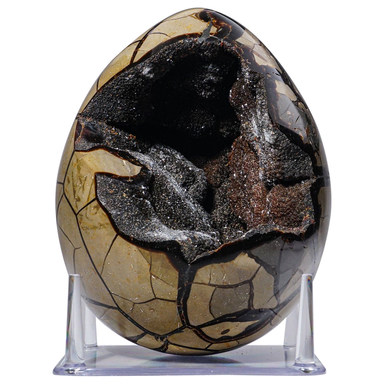 grand œuf septarien en Druzy Geode de Madagascar (16 lbs)