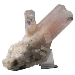 Danburite de Mina la Aurora, Charcas District, San Luis Potosi, Mexique