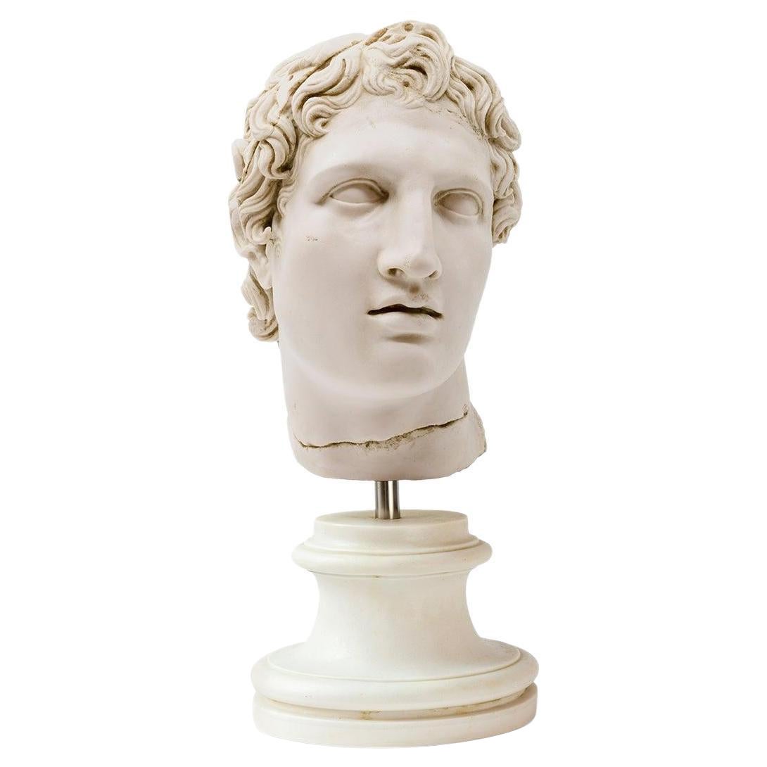 Alexander The Great Bust No:2 Made with Compressed Marble Powder Statue For Sale