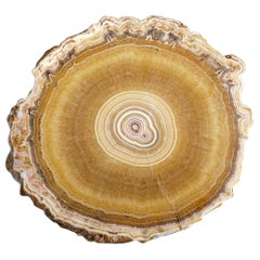 Rodaja de estalactita de Aragonito auténtico de México (280 gramos)