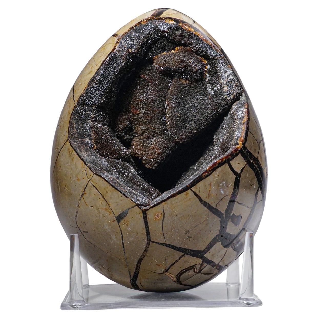 Large Septarian Druzy Geode Egg from Madagascar (19.4 lbs) For Sale