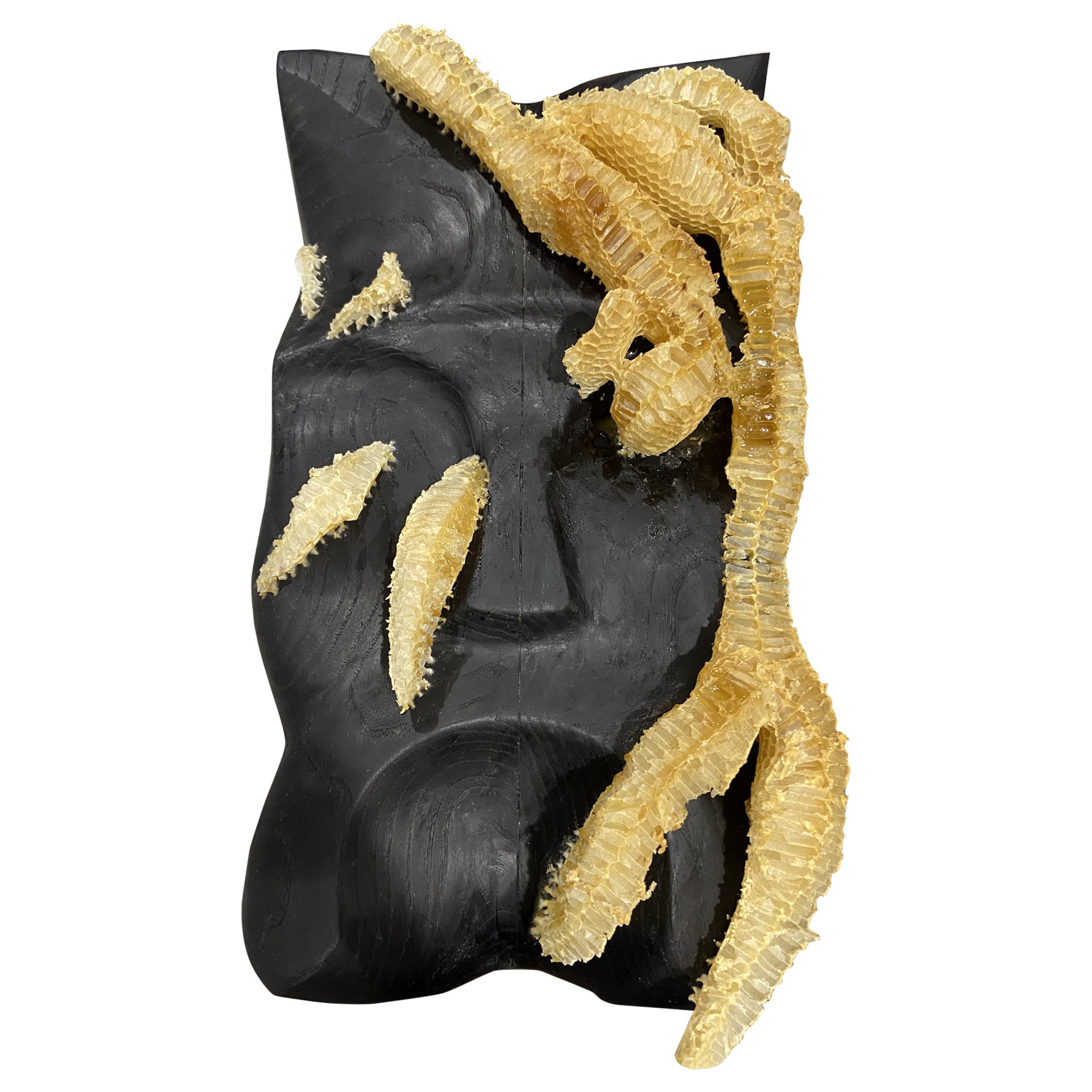 Masque en frêne sculpté à la main avec nid d'abeille en vente