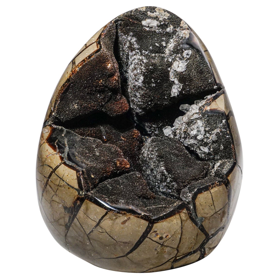 grand œuf septarien en Druzy Geode de Madagascar (13.6 lbs)