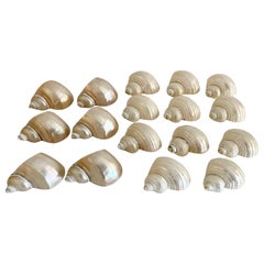 Vintage Boho Chic Shell Napkin Rings, Set of 17