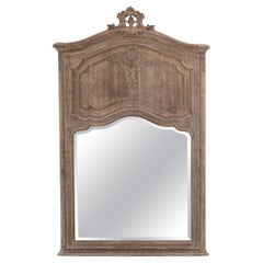 Antique 19th Century Belgian Oak Trumeau Mirror