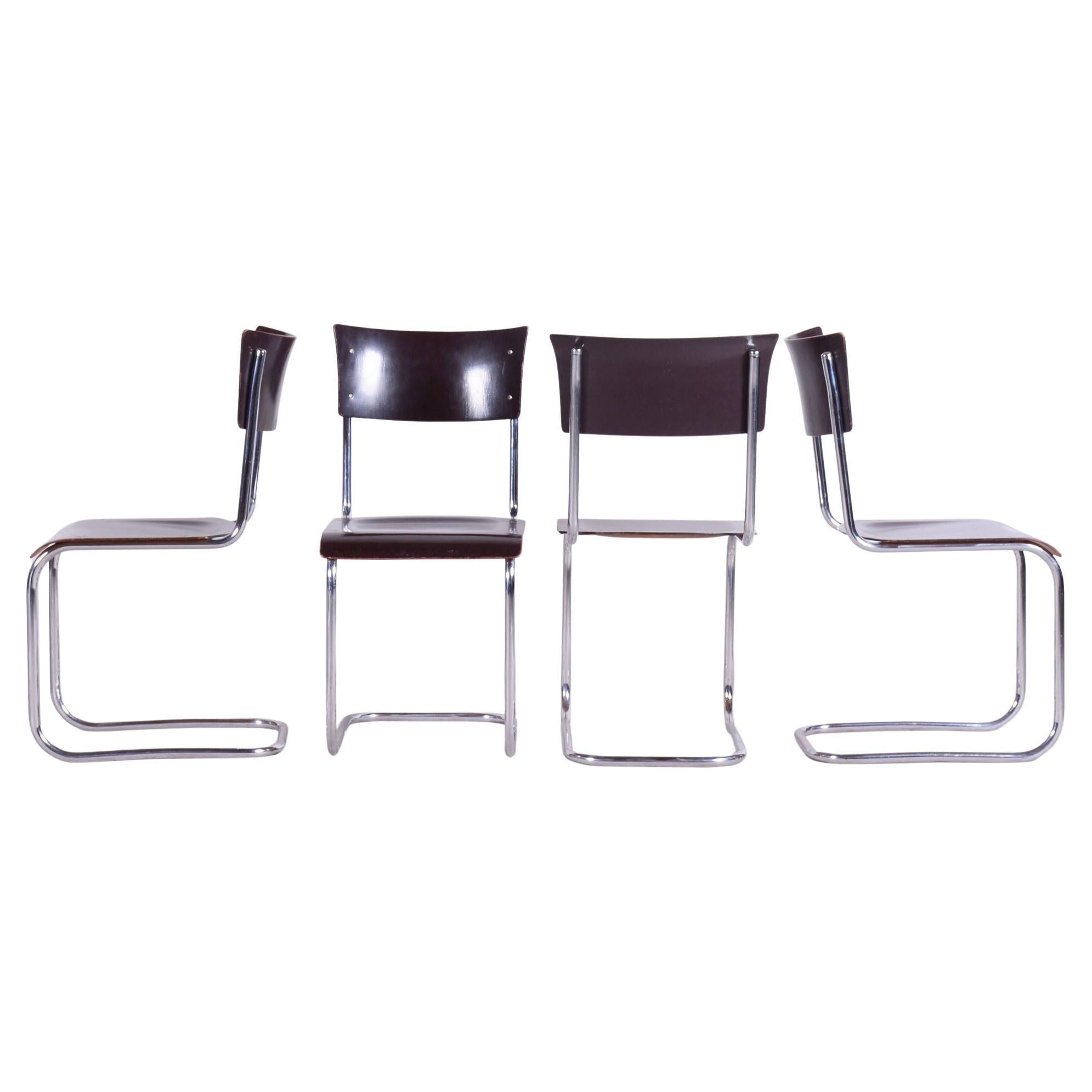 Ensemble de 4 chaises Bauhaus restaurées, Mart Stam, Robert Slezak, Tchèque, années 1930 en vente