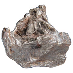 Genueuse météorite naturelle de Sikhote-Alin de Russie (108.6 grammes)