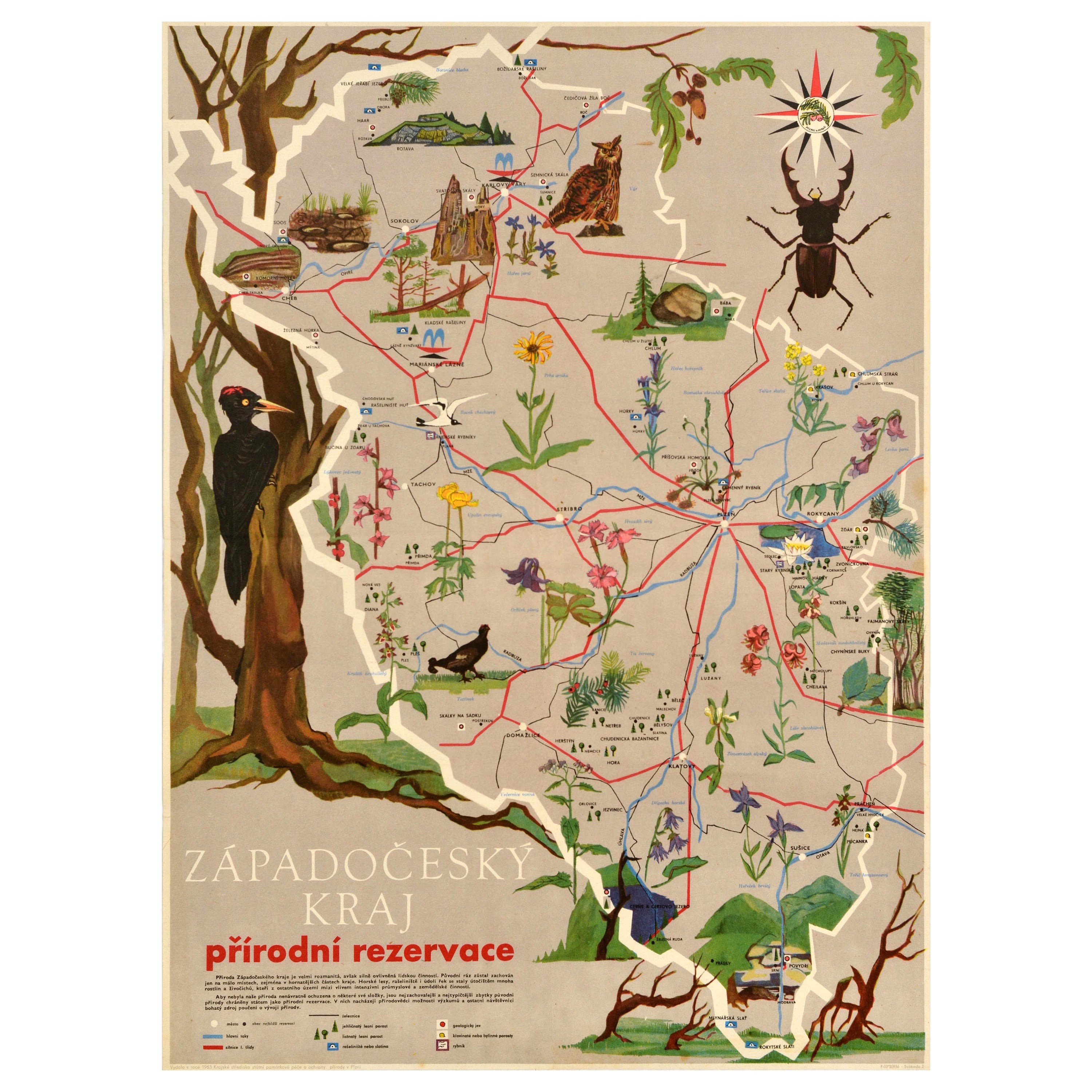 Original Vintage Travel Poster West Bohemian Region Nature Reserve Czech Park