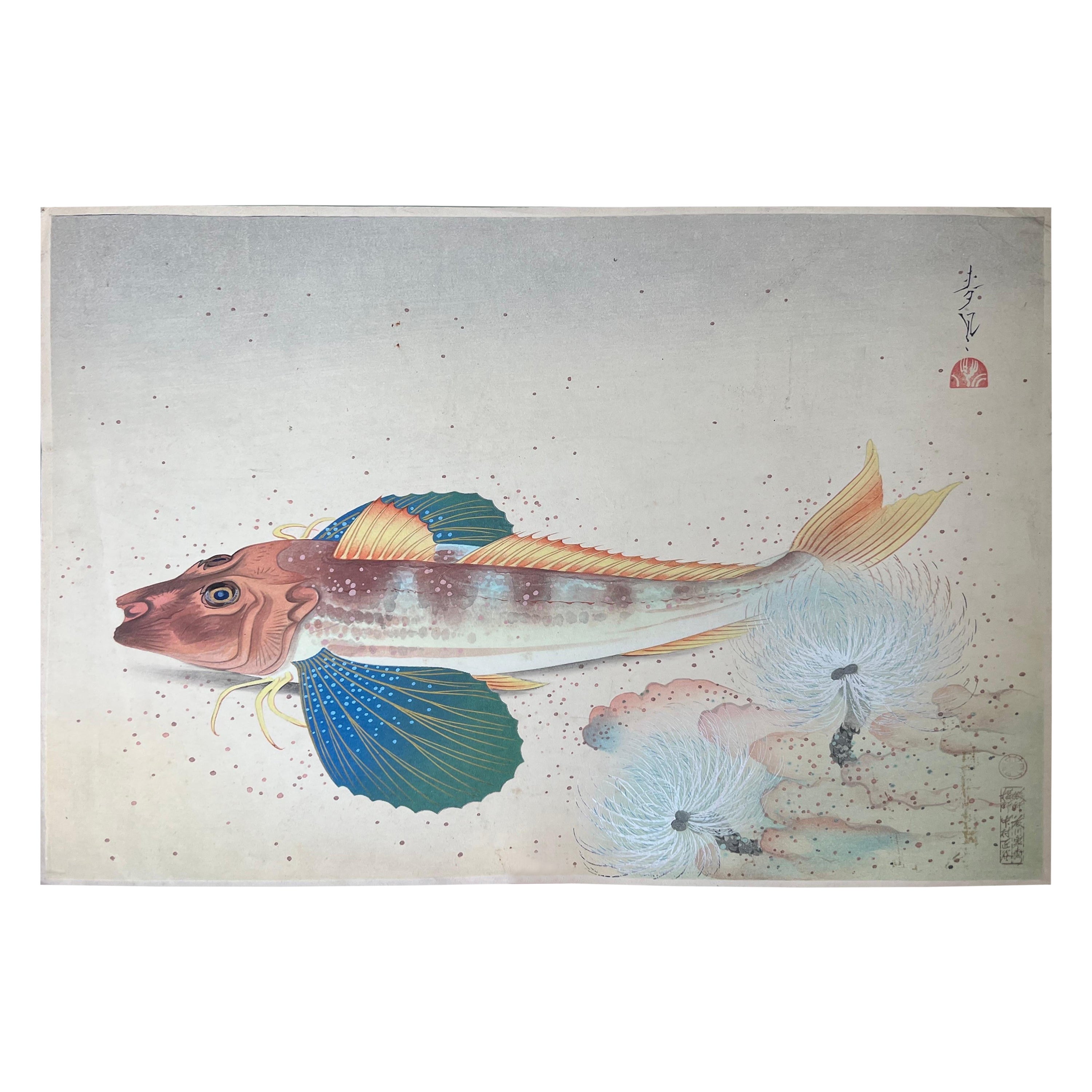 Ono Bakufu, Great Japanese Fish Picture Collection / The Hobo (Gurnard)