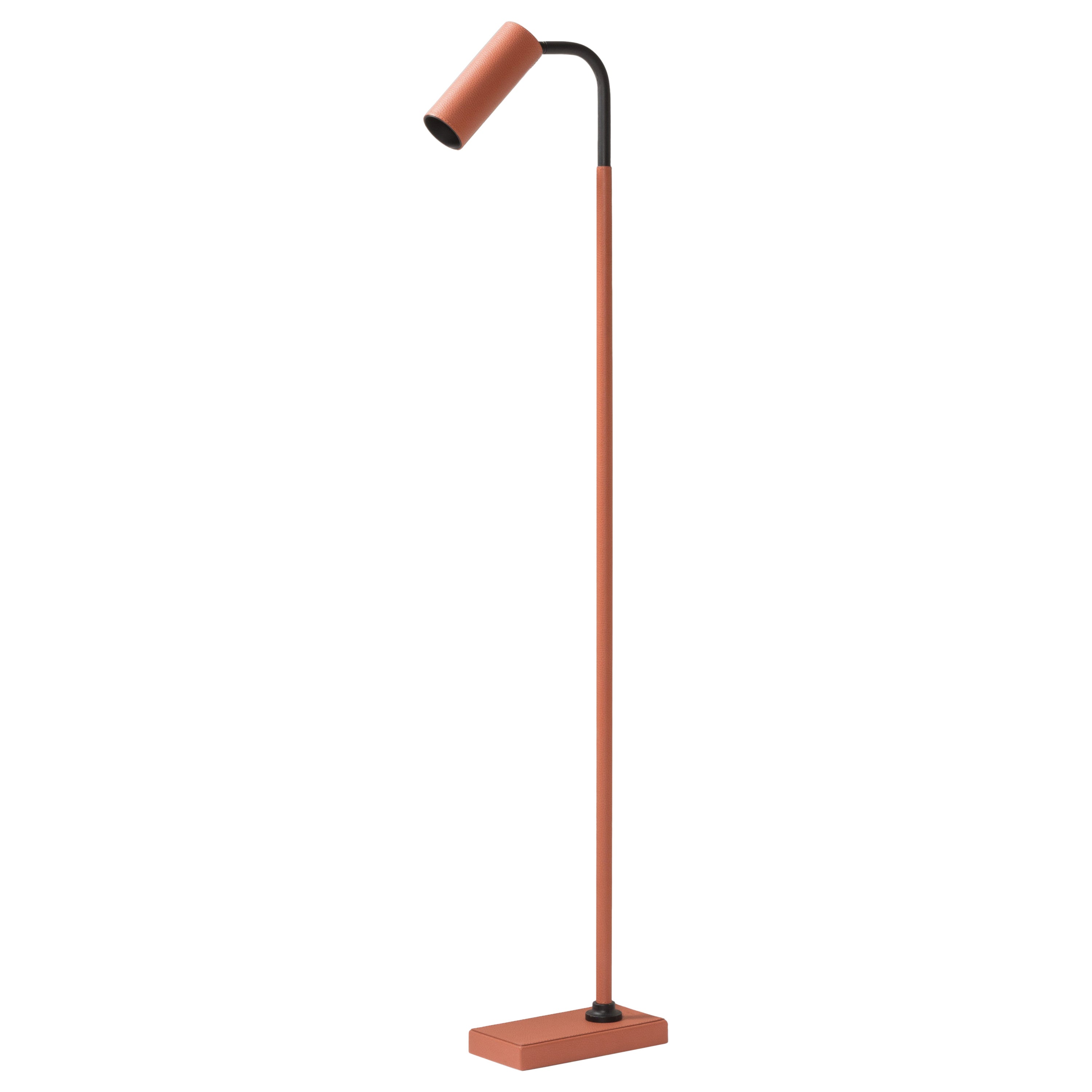 Mango Leather Floor Lamp Tekna for Giobagnara Marquesse, Brack Lacquered Brass  For Sale