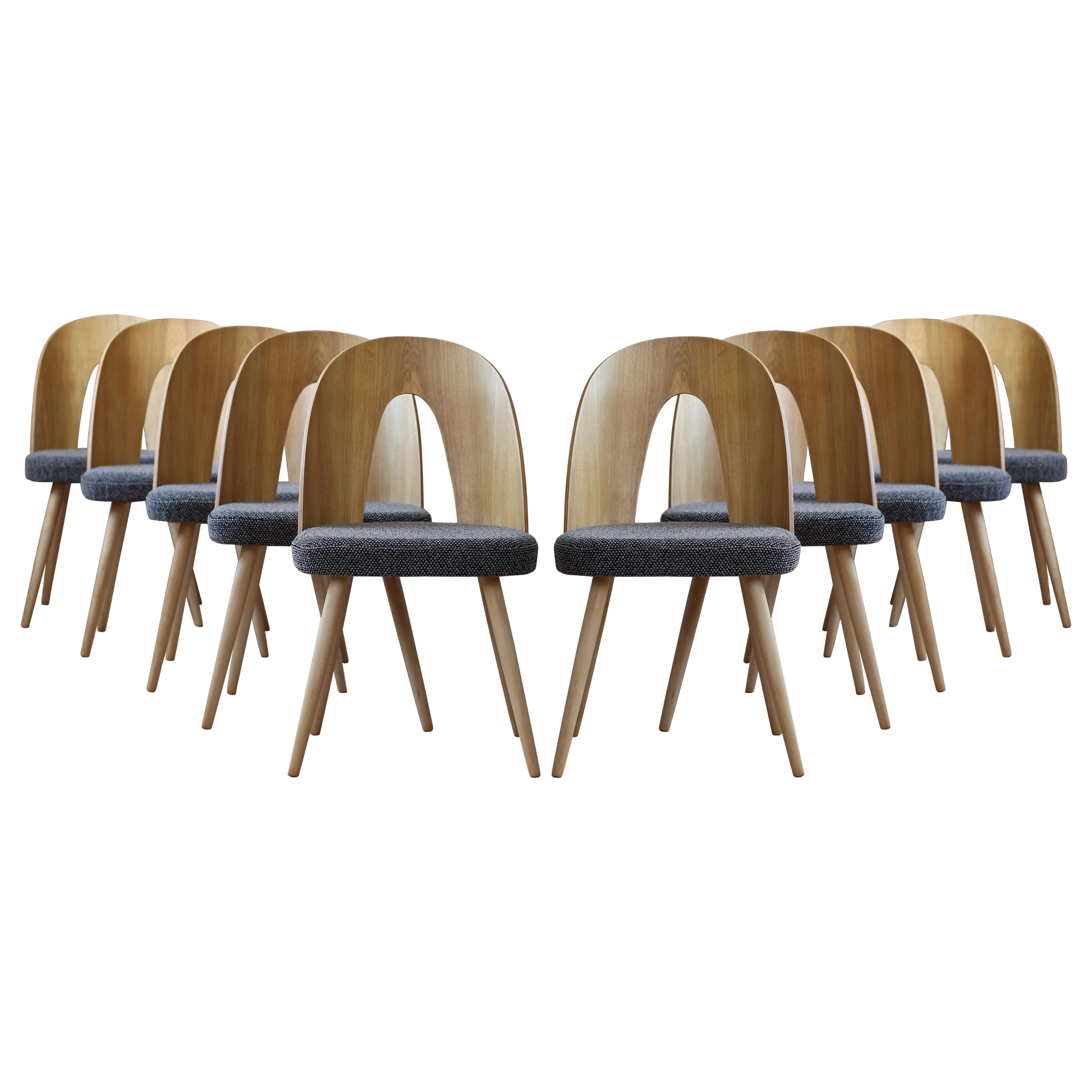Set of 10 MidCentury Dining Chairs by A.Šuman, Customizable Upholstery Available For Sale