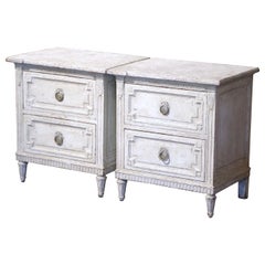 Pair of 19th Century French Louis XVI Hand Painted Two-Drawer Chests Nightstands