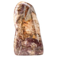 Legno pietrificato lucido a forma libera dal Madagascar (19,5 lbs)