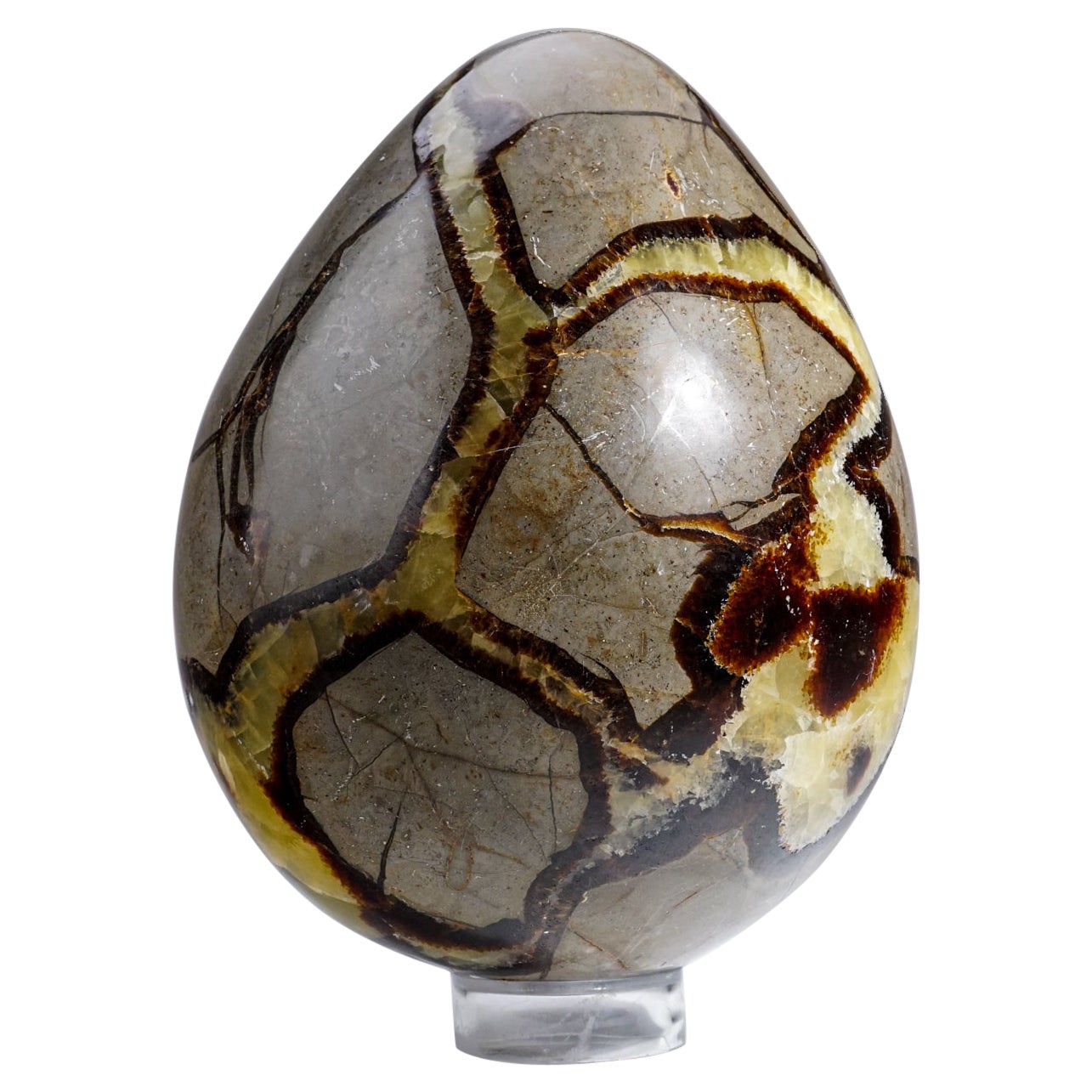 Large Polished Septarian Egg from Madagascar (10.5 lbs) For Sale