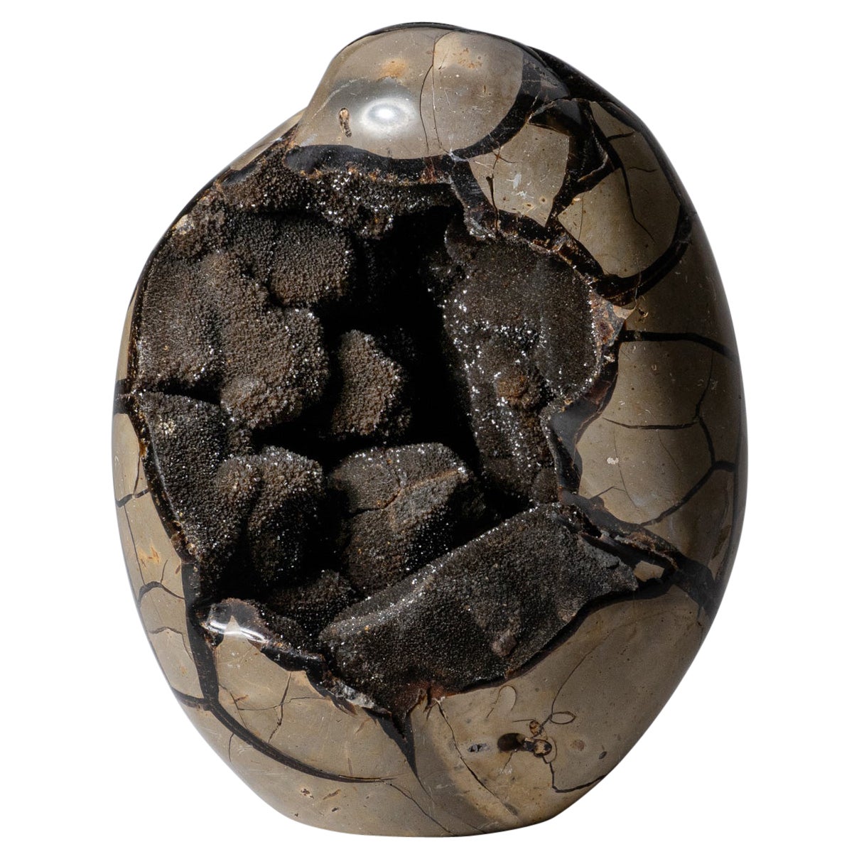 Gran Huevo de Geoda de Druzy Septariana de Madagascar (14.4 libras)