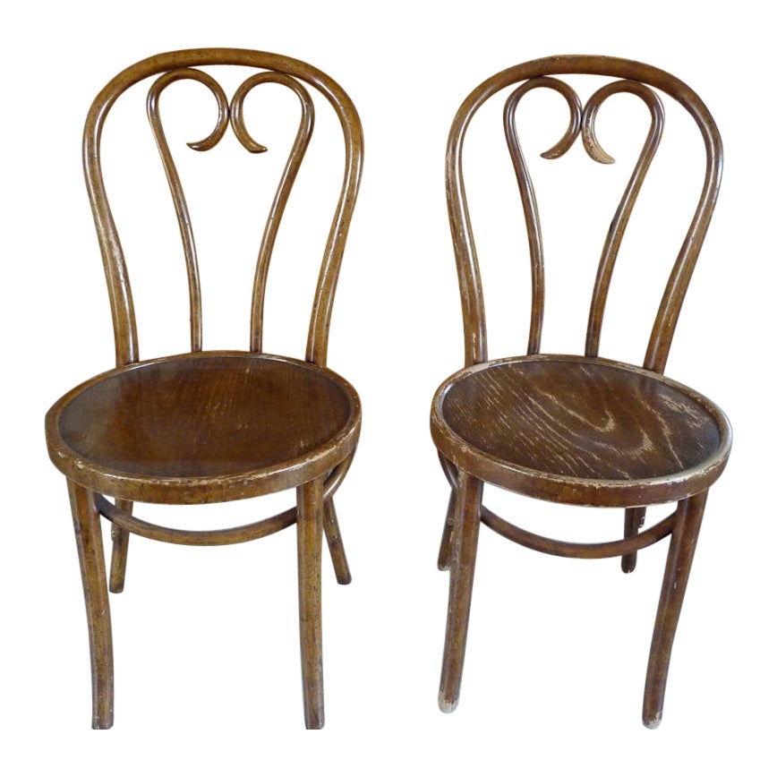 Paar französische Beistellstühle aus gebeiztem Bugholz des 19.