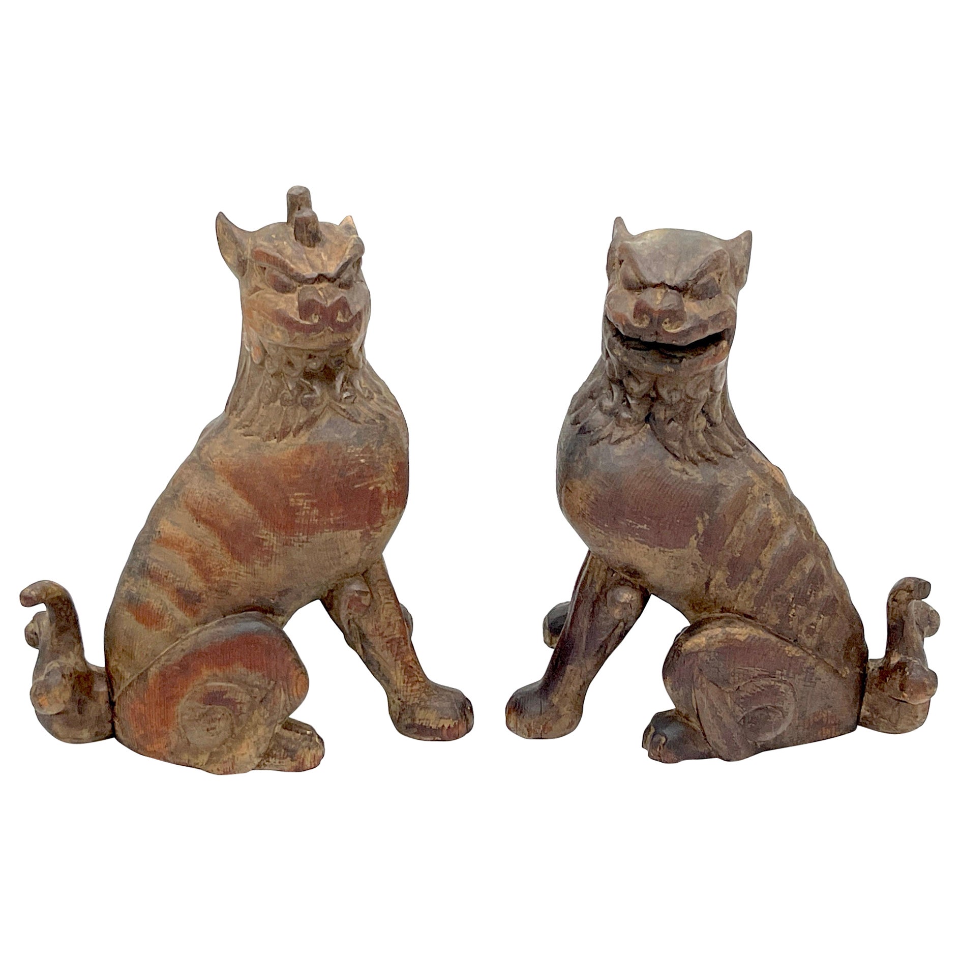 Paar tibetische Holzschnitzereien aus dem 19.  & Polychromiert  Guardian/Temple-Hunde 