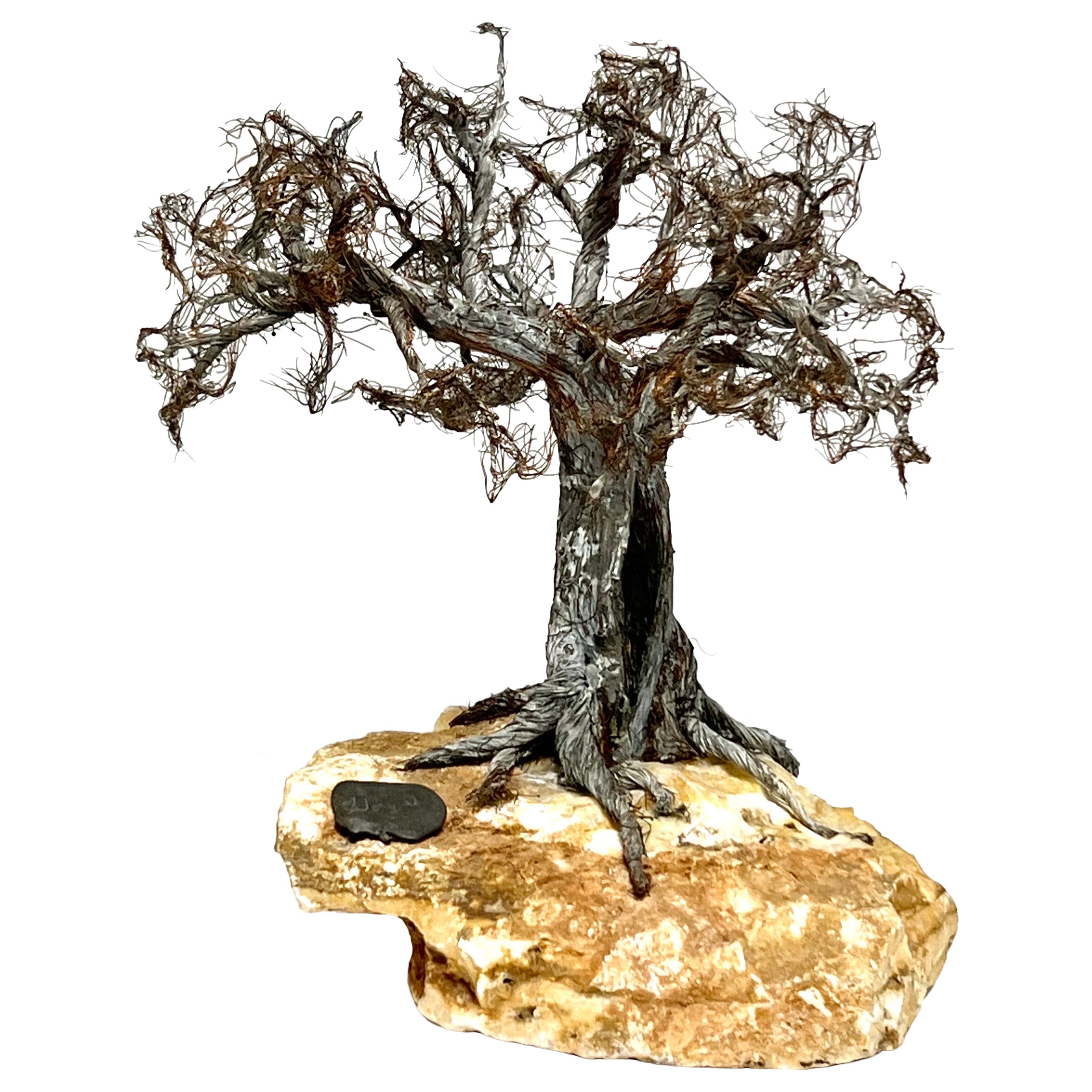 Modern Raw Edge Botanical Art Bonsai Tree Sculpture on Stone  For Sale