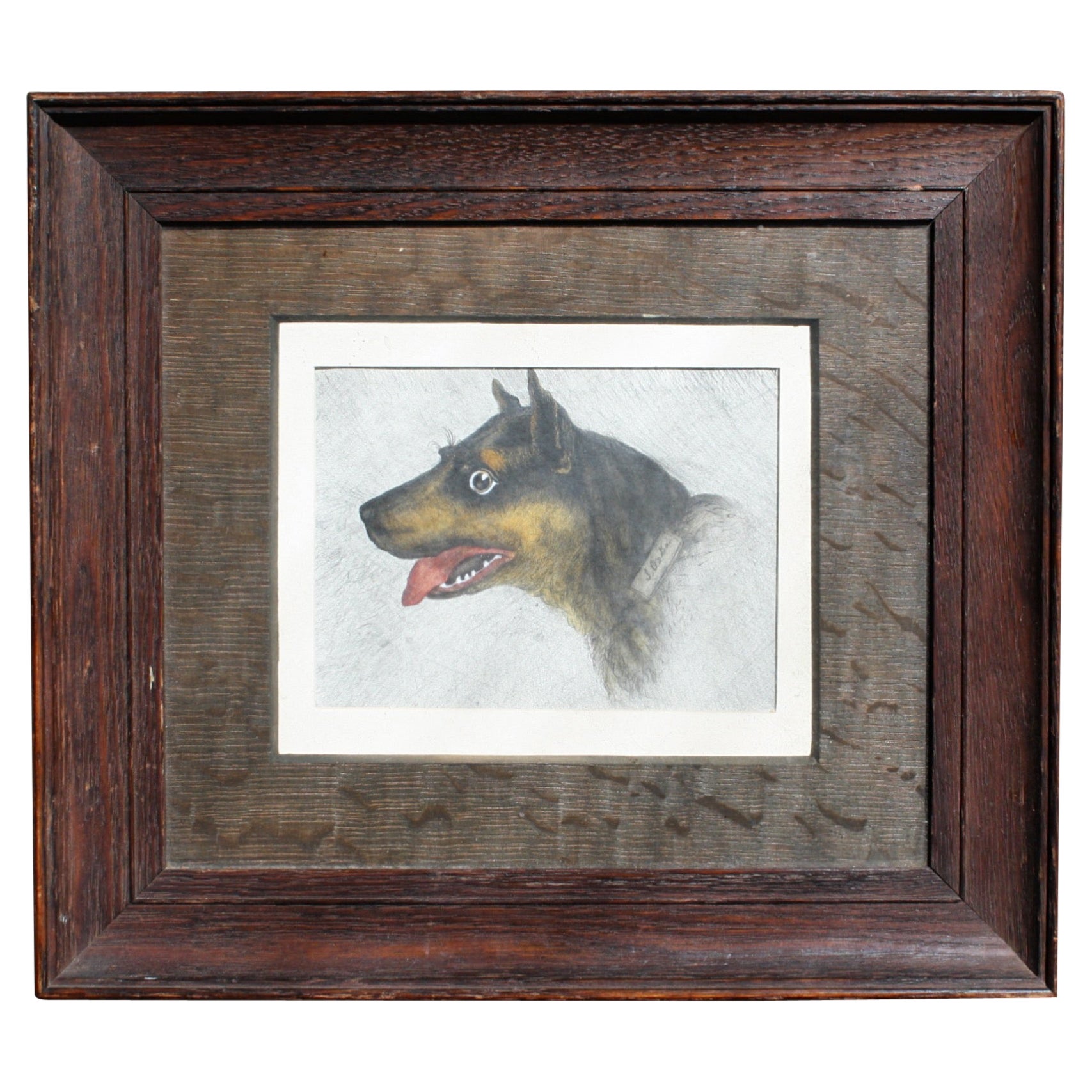 Early 20th Century Folk Art Pencil on Paper Odd Dog "Job" Oak Frame Rottweiler For Sale