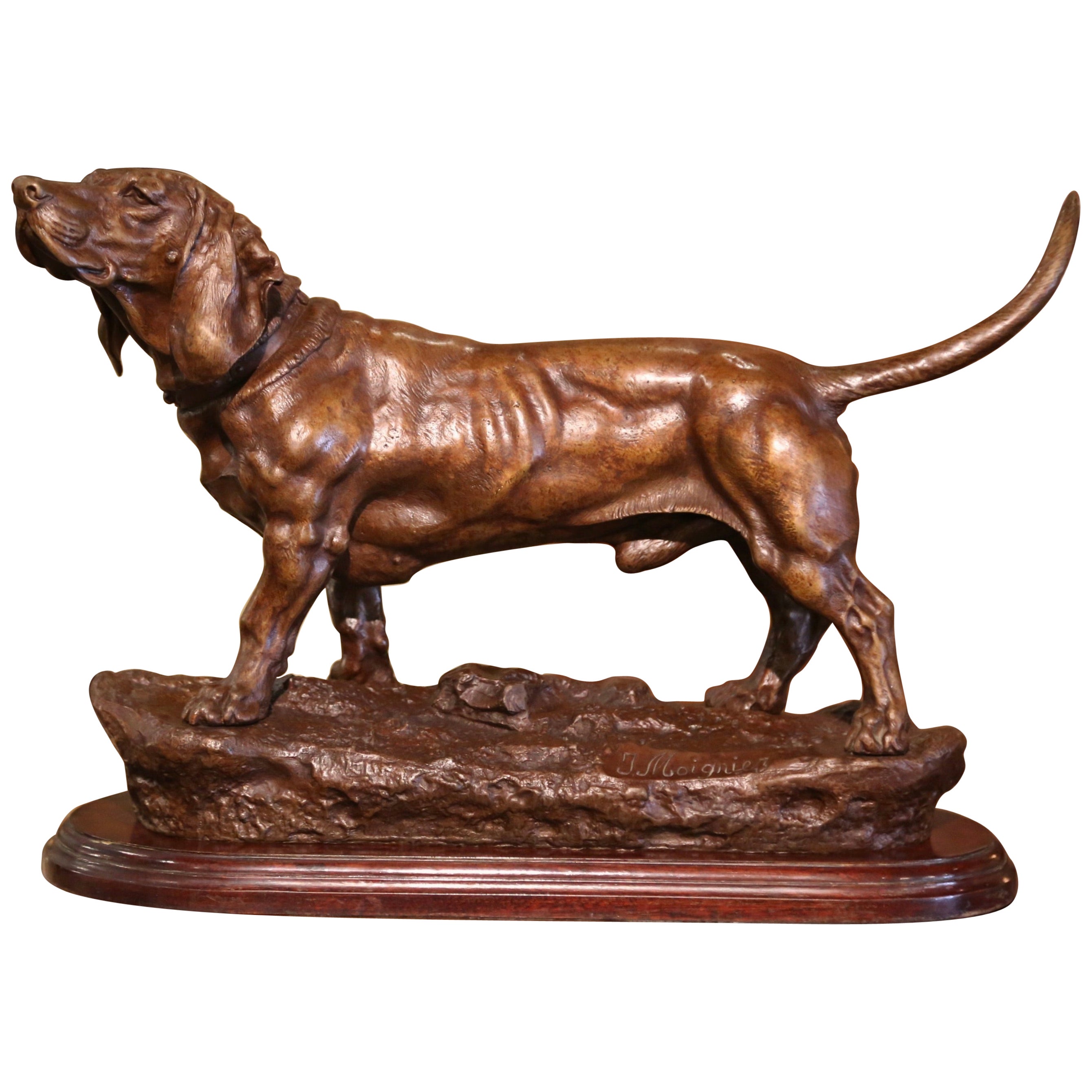 19th Century French Bronze Dog Sculpture on Walnut Base Signed Jules Moigniez For Sale