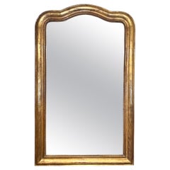 19th Century Louis Philippe Mirror
